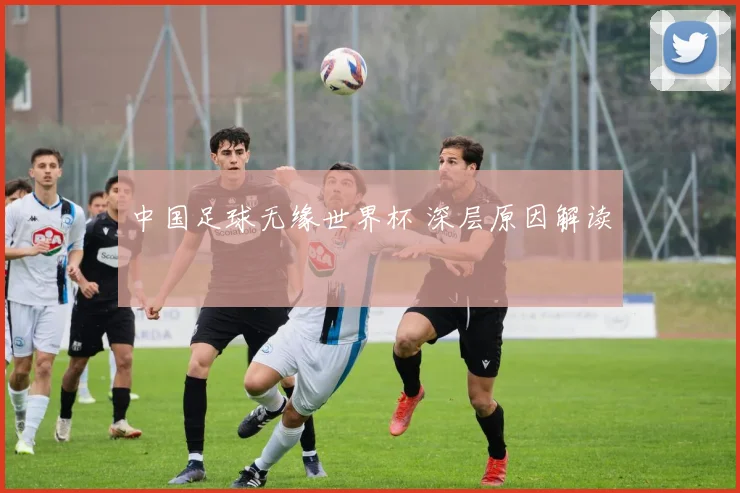 中国足球无缘世界杯 深层原因解读